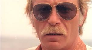 The Last Shark (1981)