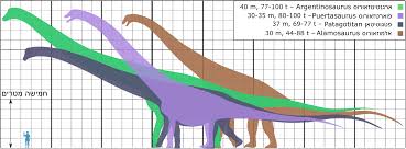 Members of the group titanosauria) were a diverse group of sauropod dinosaurs, including genera from africa, asia, south america, north america, europe. File Biggest Titanosaurs Ver18 He Png Wikipedia