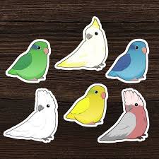 Linnie And Parrotlet Sticker Pack Green Blue Yellow Etsy Parrotlet Cute Drawings Animal Stickers