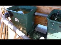 Bassin Filtration Maison Lame D Eau Aquaponics Diy Aquaponics Trash Can