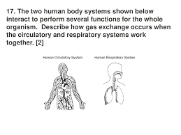 A student studying interactions between body systems constructs this table. Science Pssa Study Session Ppt Download