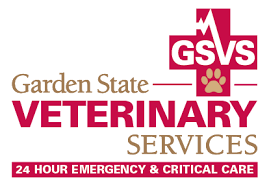 Gsvservices 24 Hour Emergency Veterinary Care