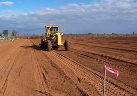 Mulching fruit trees with a thick layer of organic material will protect the roots from severe cold weather. Preparing Soil Before Planting Is Key To Successful Root Growth Good Fruit Grower