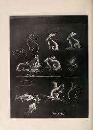 Check spelling or type a new query. Un Guide Du Dessin Sur Tableau Noir De 1909