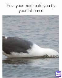 Maybe you would like to learn more about one of these? Rulleu7fntk5zm