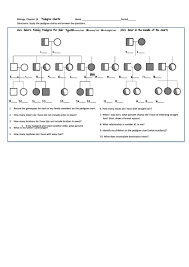 Answer key ii iii ken none none elizabeth none none none none james none depression linda jason vanessa victor. Biology Pedigree Chart Worksheet Chapter 14 Mrs Heier S Family Pedigree For Hair Type Printable Pdf Download