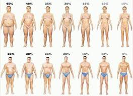 أقوى 6 طرق لتخسيس الكرش وحرق دهون الجسم كلها Egyfitness