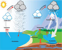 Rain Cycle Diagram Catalogue Of Schemas