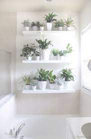This article would let you explore plenty of ideas to decorate your. Now That S Trendy Bathroom Wall Decor Target Visit Ikea Lack Shelves Plant Wall Lack Shelf