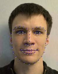 Face Recognition Systems Under Morphing Attacks: A Survey
