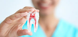 By pressing your finger against the upper and lower gums, you can look for swollen areas (which will probably be at least a little sore) around the area of the tooth in question. Do Root Canals Cause Health Problems Steve Hagerman Dds Pc