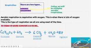 2 7 Aerobic Respiration In 2021 Aerobic Respiration Biology Notes Aerobics