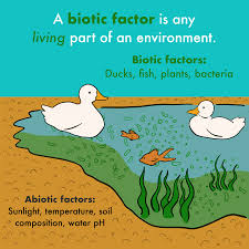Biotic Components Of Ecosystems Definition Examples Expii