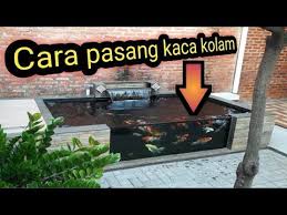 Cara Memasang Kaca Pada Kolam Koi Minimalis Youtube Di 2020 Kolam Kolam Ikan Ide Halaman Belakang