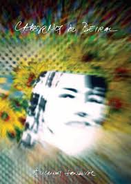 Câmara Clara << memórias em movimento >> Publicações