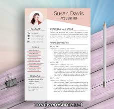 accountant resume template example