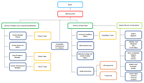 30 actual organisation chart of a public limited company