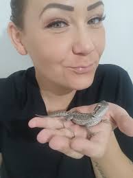 New Bearded Dragon Family Addition and Care Discussion