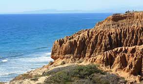 Discover, enjoy, and protect torrey pines by becoming a donor or member of torrey pines conservancy, the nonprofit environmental organization dedicated to preserving native habitat and increasing appreciation for torrey pines state natural reserve. Torrey Pines State Natural Reserve San Diego Ca California Beaches