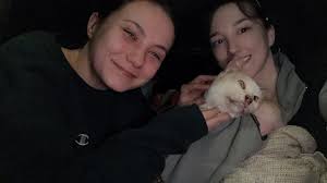 found cat in springfield ma near aic college