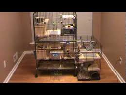 Cage suggestions for pet chinchillas. Custom Design Chinchilla Cage Tour Youtube