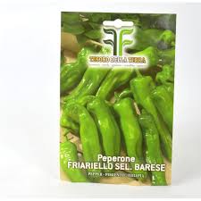 Ricette con peperoni verdi piccoli. Vendita Semi Di Peperone Friariello Semi Orto Online Mondo Piante