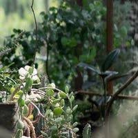 concorsi progettazione giardini - le News di professione Architetto