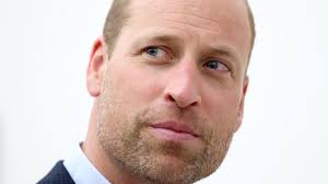 Prinz Williams Zukunftspläne: Revolution oder PR-Trick?