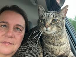 Fundraiser by Wanda Carpenter : Help with Willow's emergency vet bills