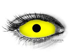 Image result for Sclera