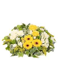 Effetti pronti per le foto: Invia Online Una Composizione Di Rose E Gerbere Verde Idea Consegna A Domicilio In Tutta Novara