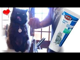 Batman Loves His Cat Malt Paste For Hairball Digestion Youtube In 2020 Batman Love Love Him Hairball