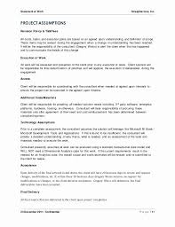 Project Scope Statement Example Pdf Awesome Software Project Scope Example In 2020 Statement Template Statement Of Work How To Make Brochure