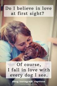 Maybe you would like to learn more about one of these? 235 Best Dog Captions For Instagram To Copy Paste 2021