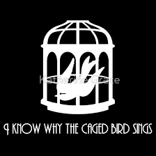 Bioshock Bird Or Cage The Bird Or The Cage T Shirt By Katherine Grace Inspirational Tshirts Bioshock The Caged Bird Sings