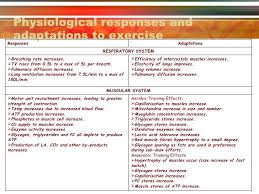 Physiological Responses And Adaptations To Exercise Responses Adaptations Respiratory System Ul Li Breathing Rate Increa