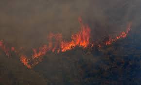 Φωτιά σε δύσβατη περιοχή στη βόρεια εύβοια προηγούμενο επόμενο 16/06/2021, 14:20 Fwtia Twra Sthn Eyboia Thn Ekkenwsh Toy Xwrioy Makrymallh Zhta H Pyrosbestikh Newsbomb Eidhseis News