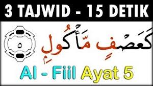 Mereka dijadikan bagai daun tanaman yang terkena wabah yang mematikan(1). Surah Al Fiil Ayat 5 Qs 105 5 Tafsir Alquran Surah Nomor 105 Ayat 5