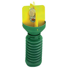 Do the japanese beetle work? Tanglefoot Japanese Beetle Xpando Trap Kit 300000666a The Home Depot Japanese Beetles Japanese Beetles Trap Beetle