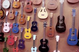 She earned a bachelor's degree in music performance from the prestigious musicians institute in los. 5 Best Ukuleles To Buy For Beginners Ukulele Tricks