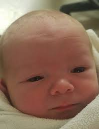 Spruce Grove Newsletter