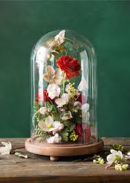 Pin On Inspire Beautiful Blooms