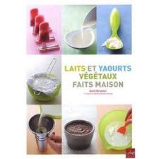 Comment Remplacer Cuisiner Sans Lait Ni Soja Yaourt Vegetal Yaourt Recette De Chantilly
