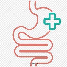 Digestion Icon PNG Images With ...