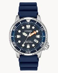 Image result for diving watch