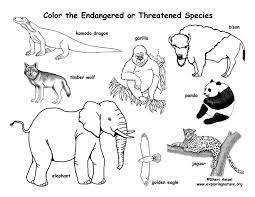 Download Endangered Animals Coloring Page