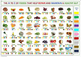 A To Z Of Foods For A Healthy Gut Laminated Health Chart A4 Size 297x210 Mm