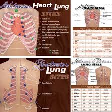 Pin By Carrie Pettengill On Assessment Nursing School Survival Nursing Mnemonics Nursing School Notes