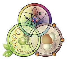 Pin By Keren Herrera On Science Science And Nature Physics Biology