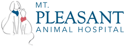 Your pet deserves a caring veterinarian. After Hours Mt Pleasant Sc Veterinary Care